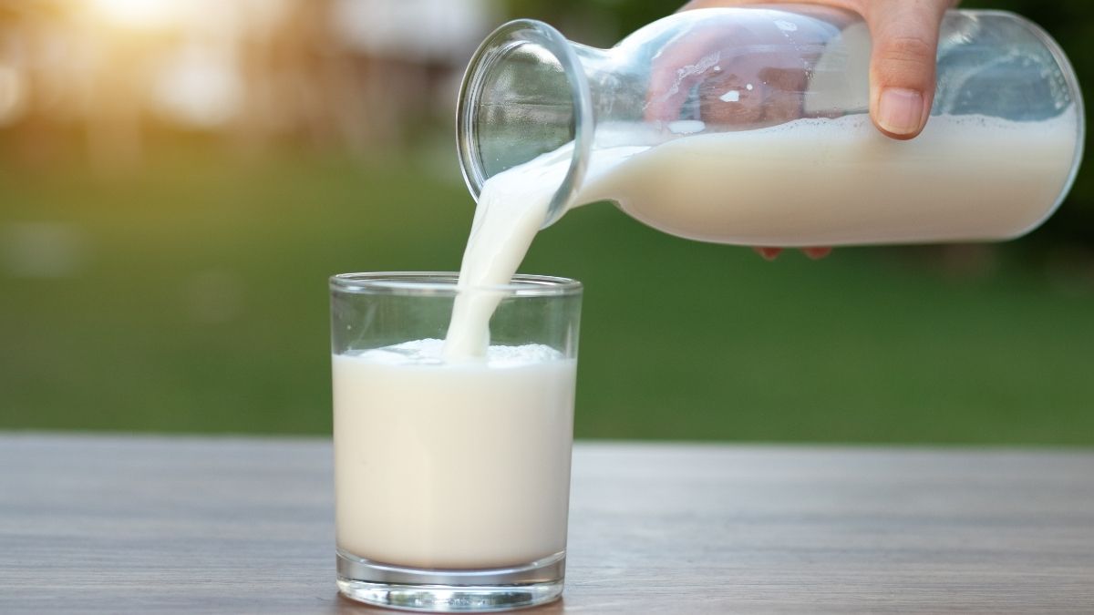 25 Camping food ideas without a fridge